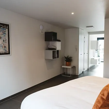 Fluisterbos Met Gratis Parking Villa Oostende